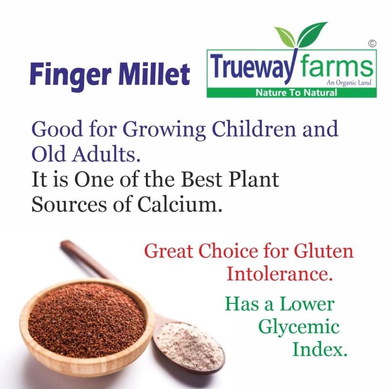 Trueway Farms Organic Finger Millet (ragi) 1.85 Kg